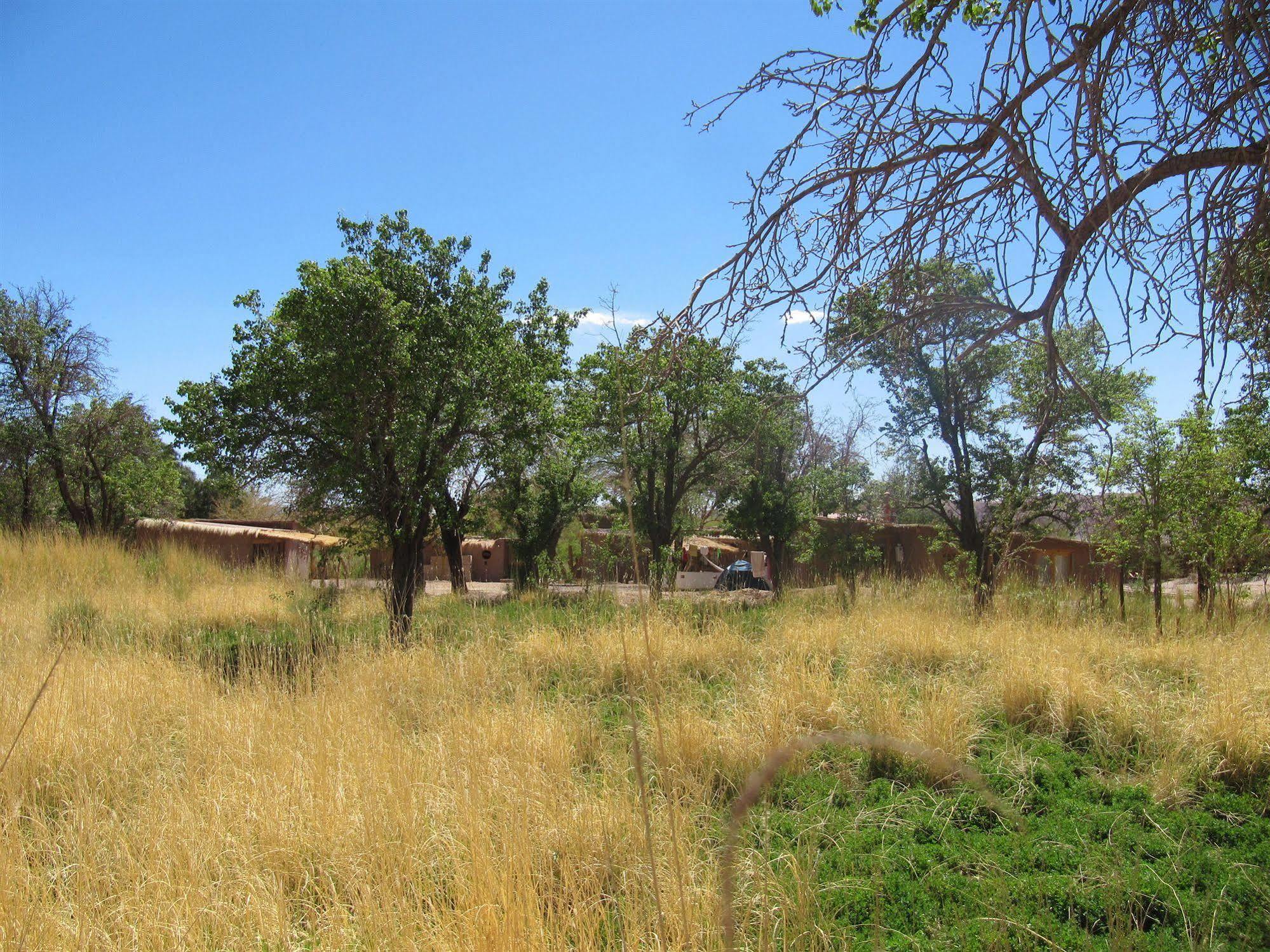 Rancho Quitapenas Bungalows San Pedro de Atacama Ngoại thất bức ảnh