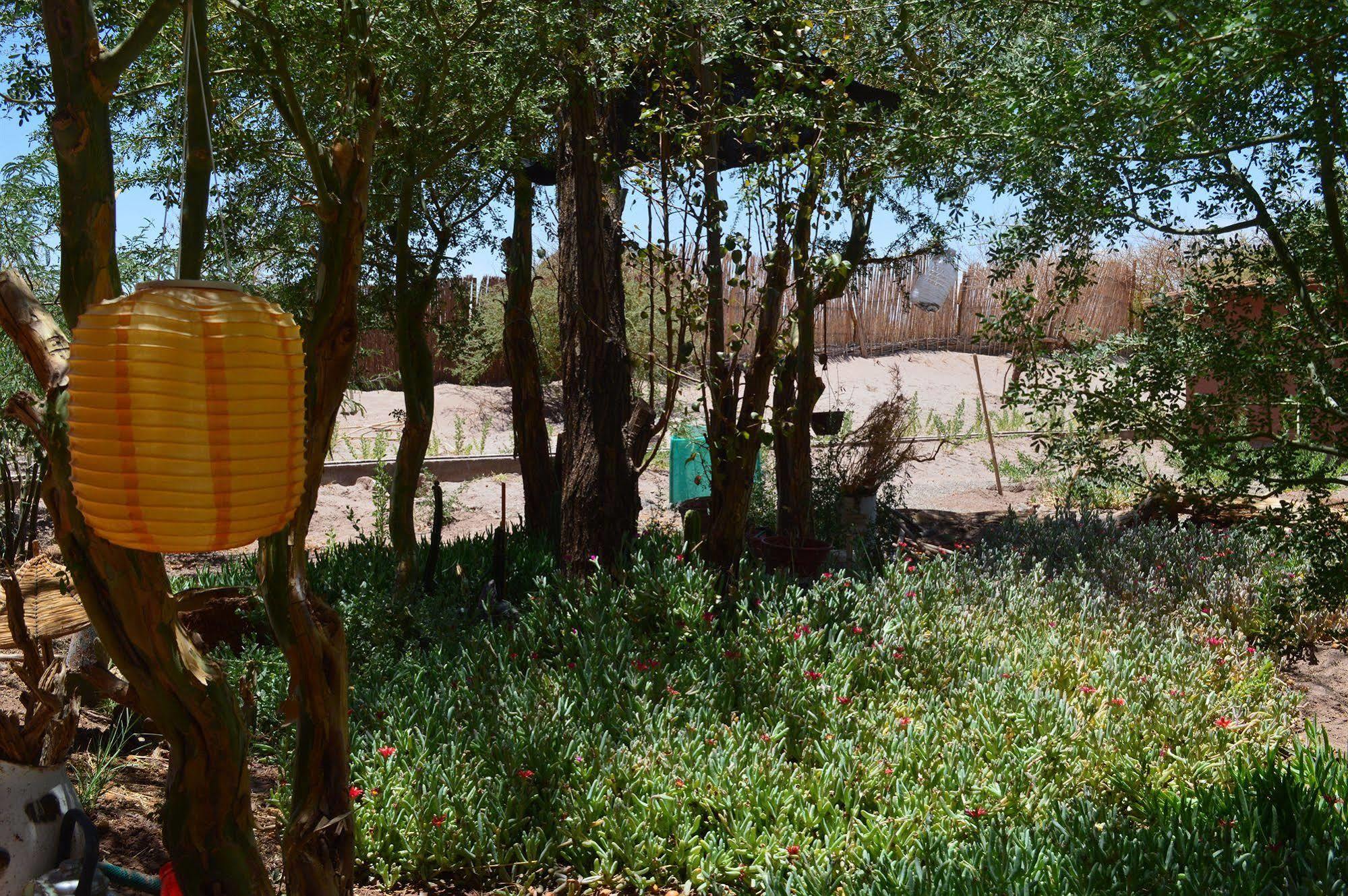 Rancho Quitapenas Bungalows San Pedro de Atacama Ngoại thất bức ảnh