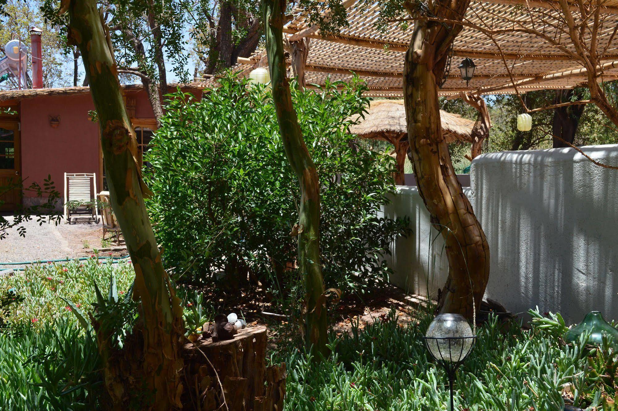 Rancho Quitapenas Bungalows San Pedro de Atacama Ngoại thất bức ảnh